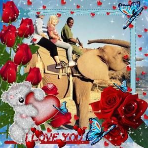 Meet your Posher, Iris